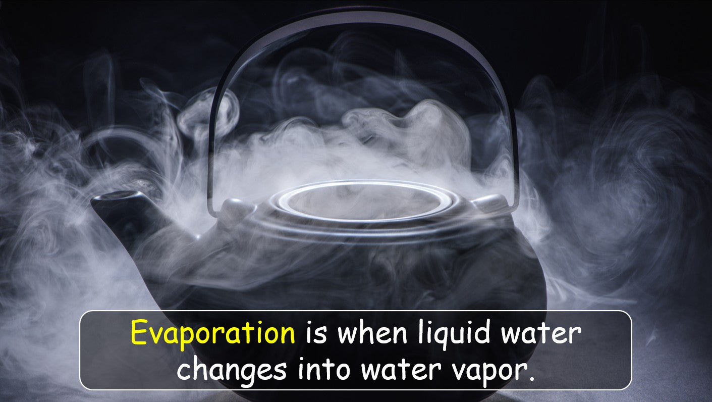 The Water Cycle - Grade 6 PowerPoint Lesson + Music Video