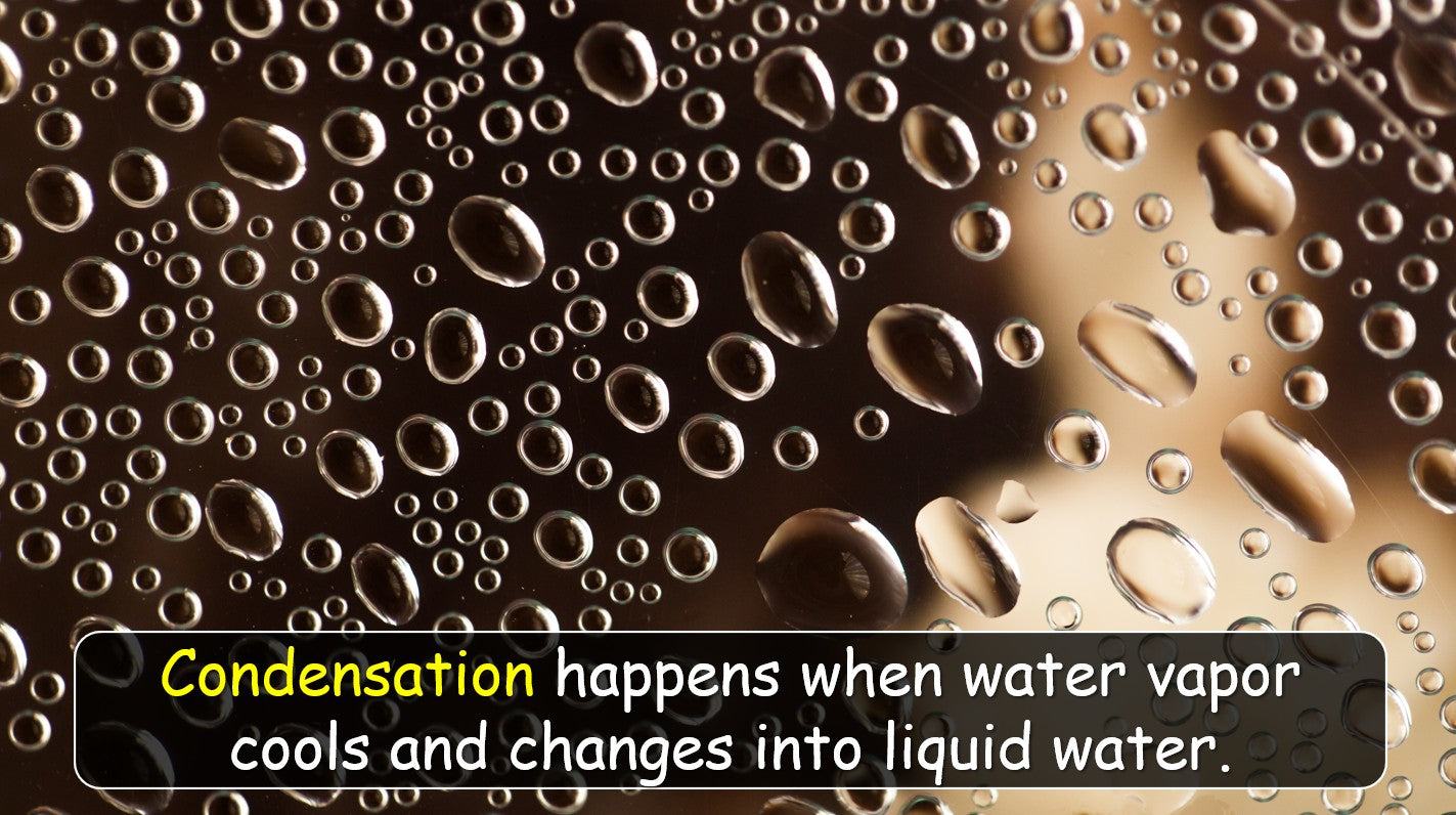 The Water Cycle - Grade 6 PowerPoint Lesson + Music Video