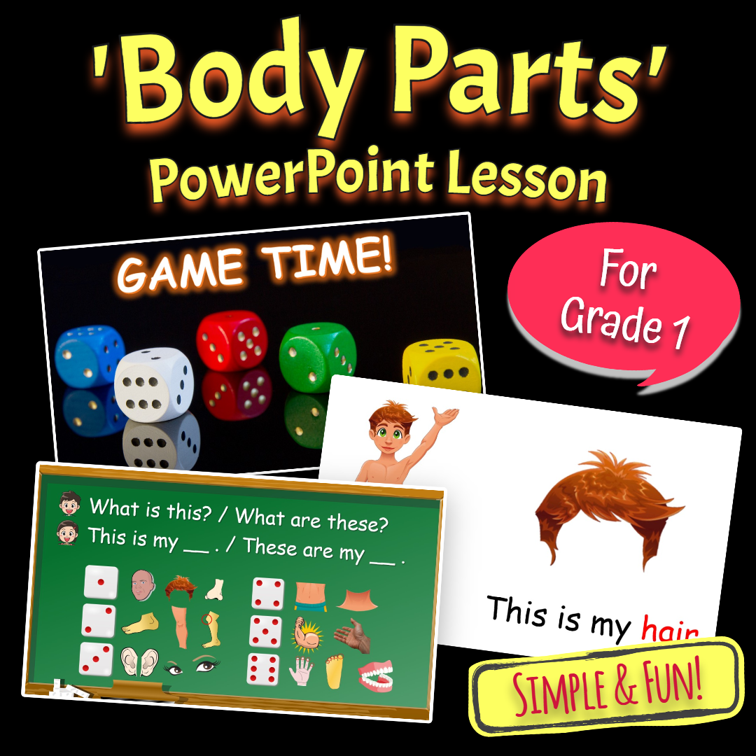 parts of the body and their functions for grade 1
