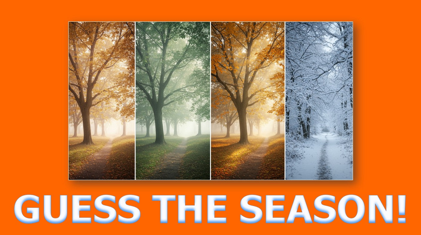 The Four Seasons - Grade 3-4 PowerPoint Lesson