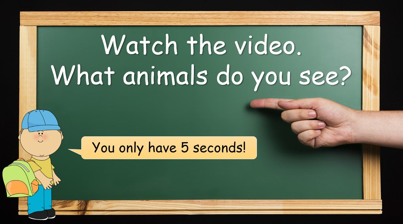 Animal Habitats - Grade 3-4 PowerPoint Lesson