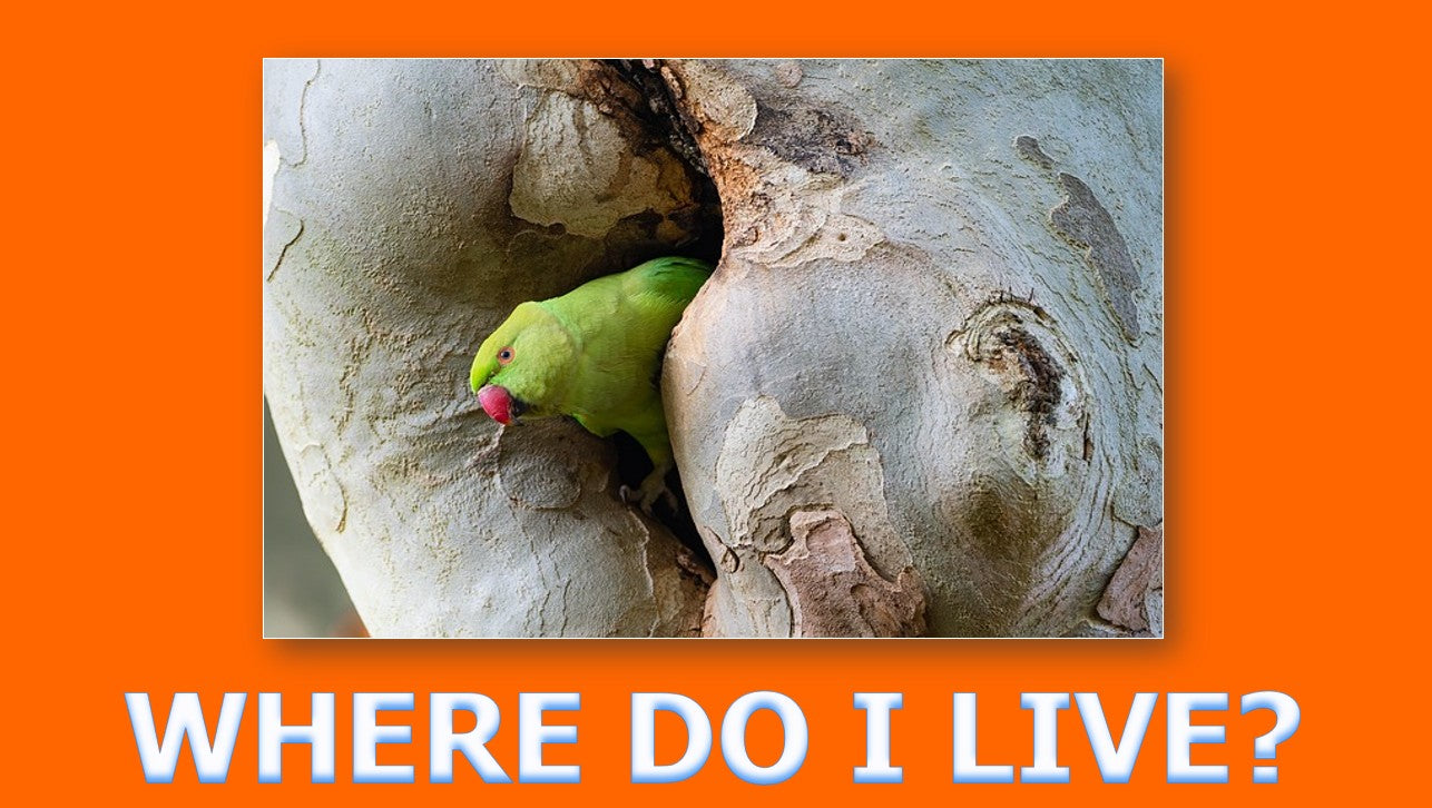 Animal Habitats - Grade 3-4 PowerPoint Lesson