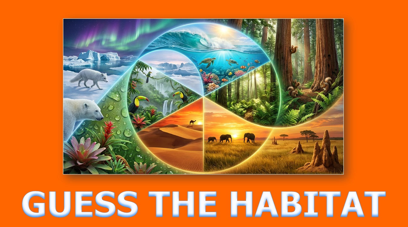 Animal Habitats - Grade 3-4 PowerPoint Lesson