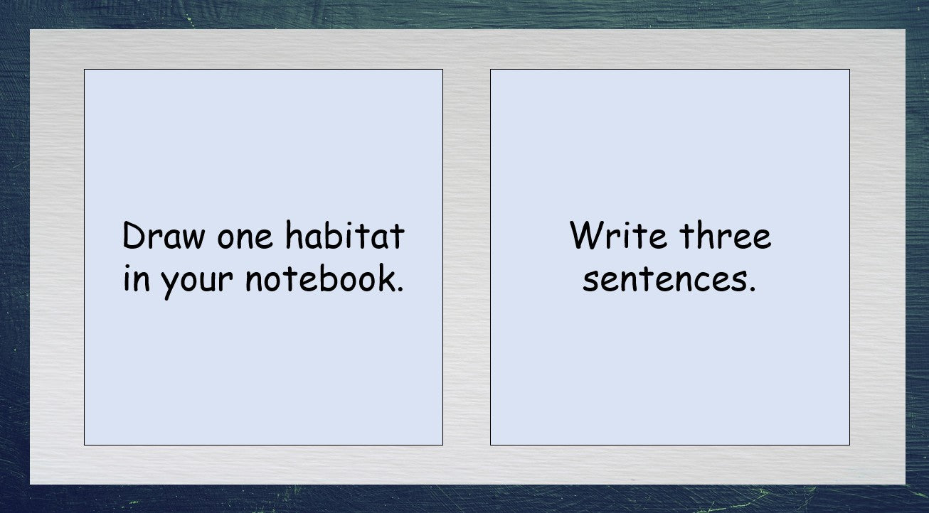 Animal Habitats - Grade 3-4 PowerPoint Lesson