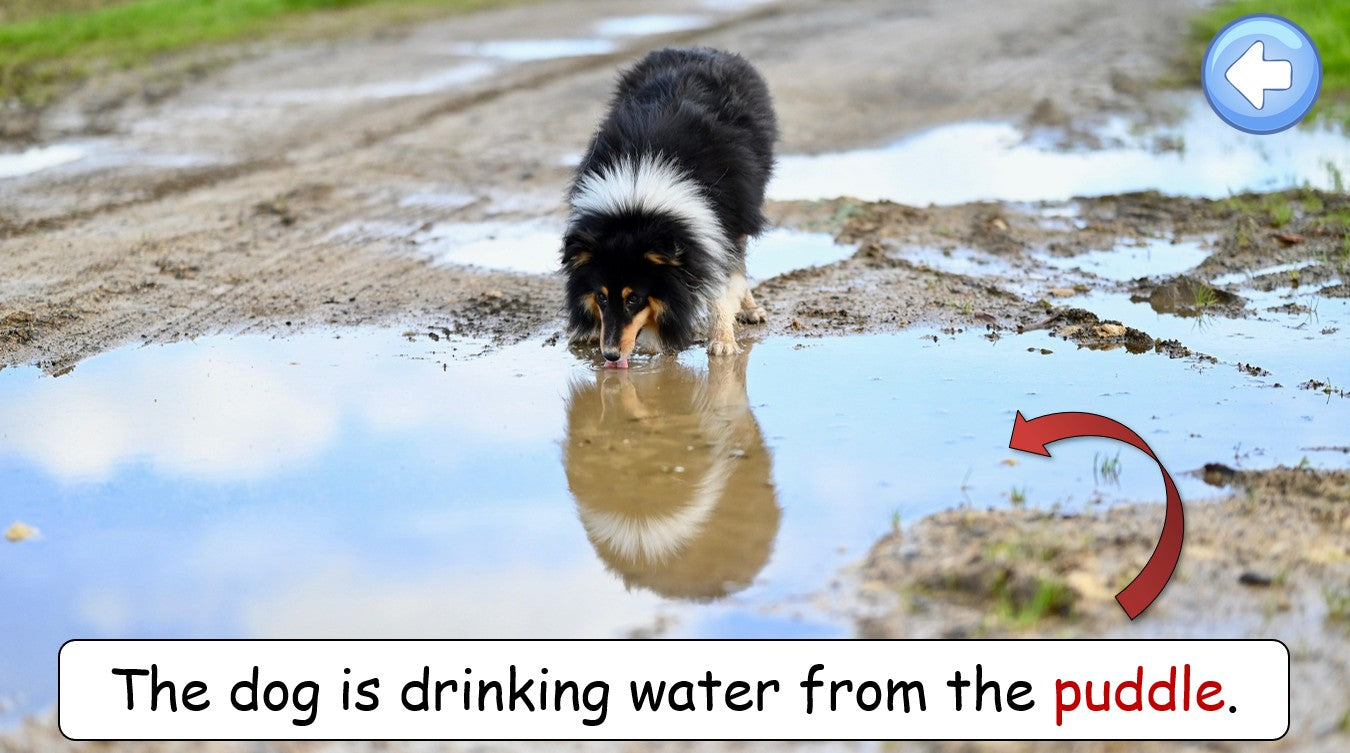 The Four Seasons - Grade 3-4 PowerPoint Lesson