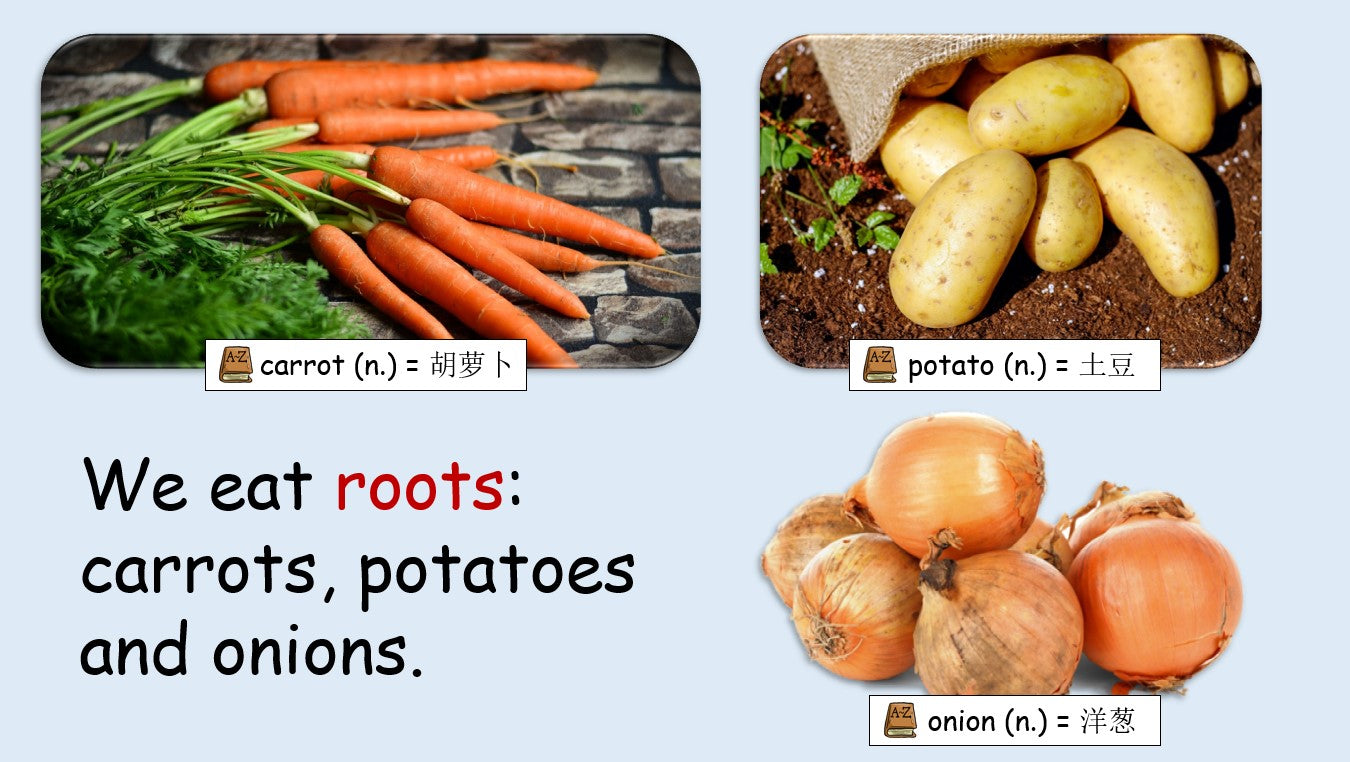 Where Does Food Come From? - Grade 3-4 PowerPoint Lesson