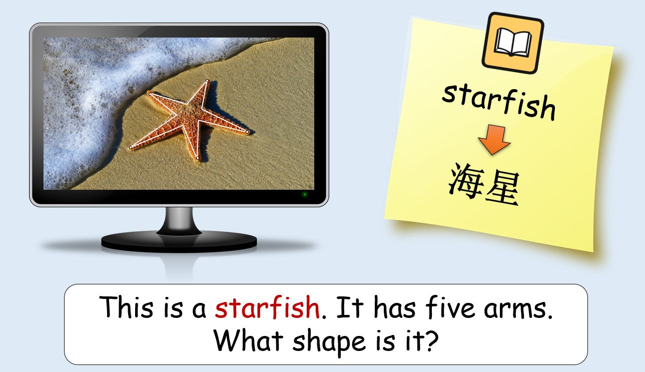 Shapes - Grade 3 PowerPoint Lesson