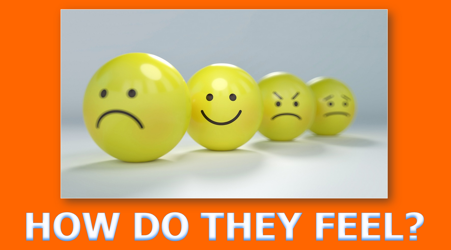 Feelings and Emotions - Grade 6 PowerPoint Lesson (Test-Teach-Test)