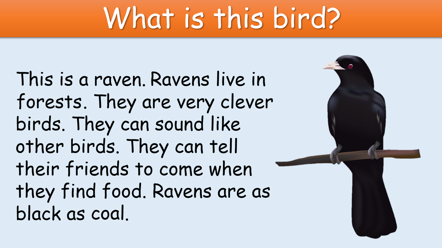 The Raven and the Swan - Grade 4-6 PowerPoint Lesson + Storyboard Template