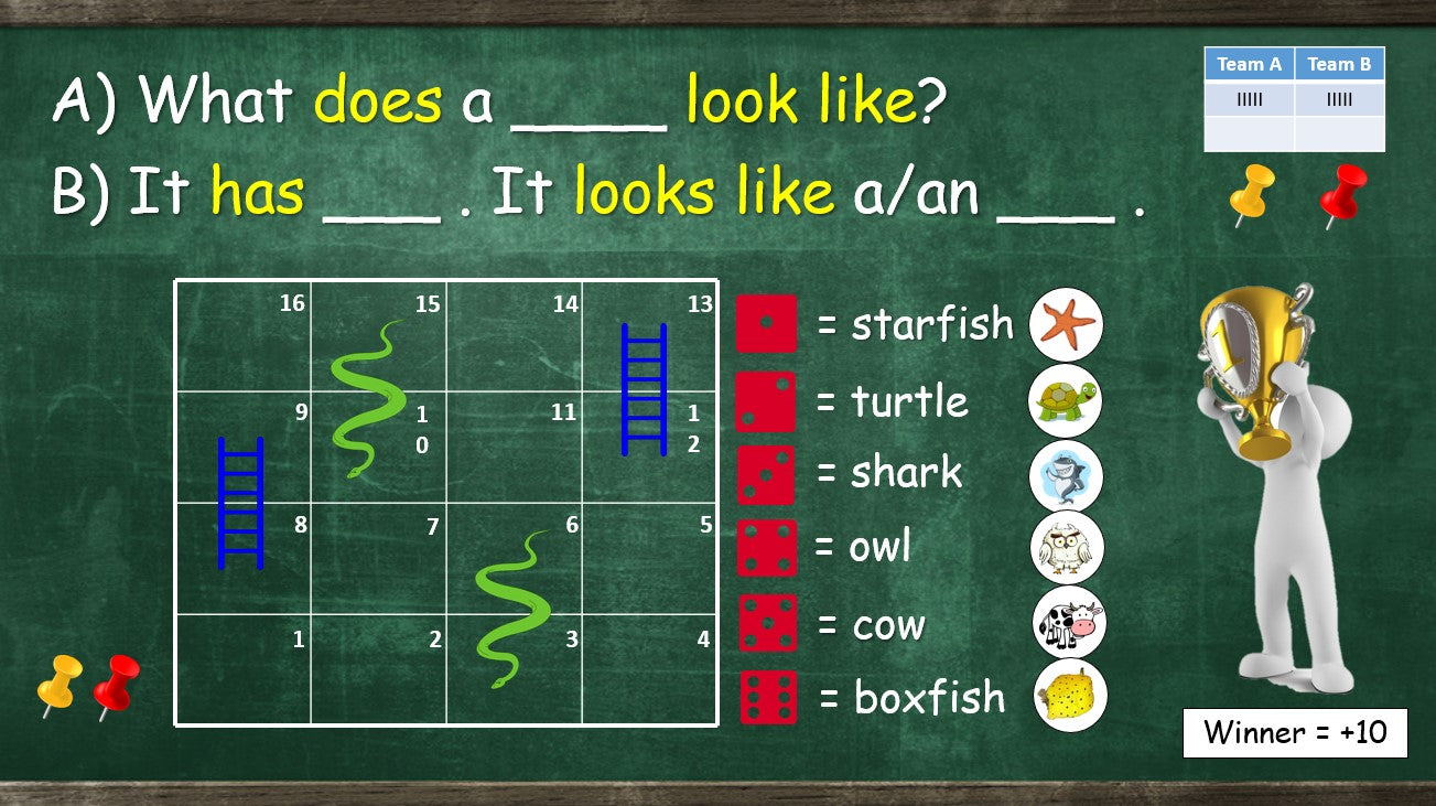 Shapes - Grade 3 PowerPoint Lesson