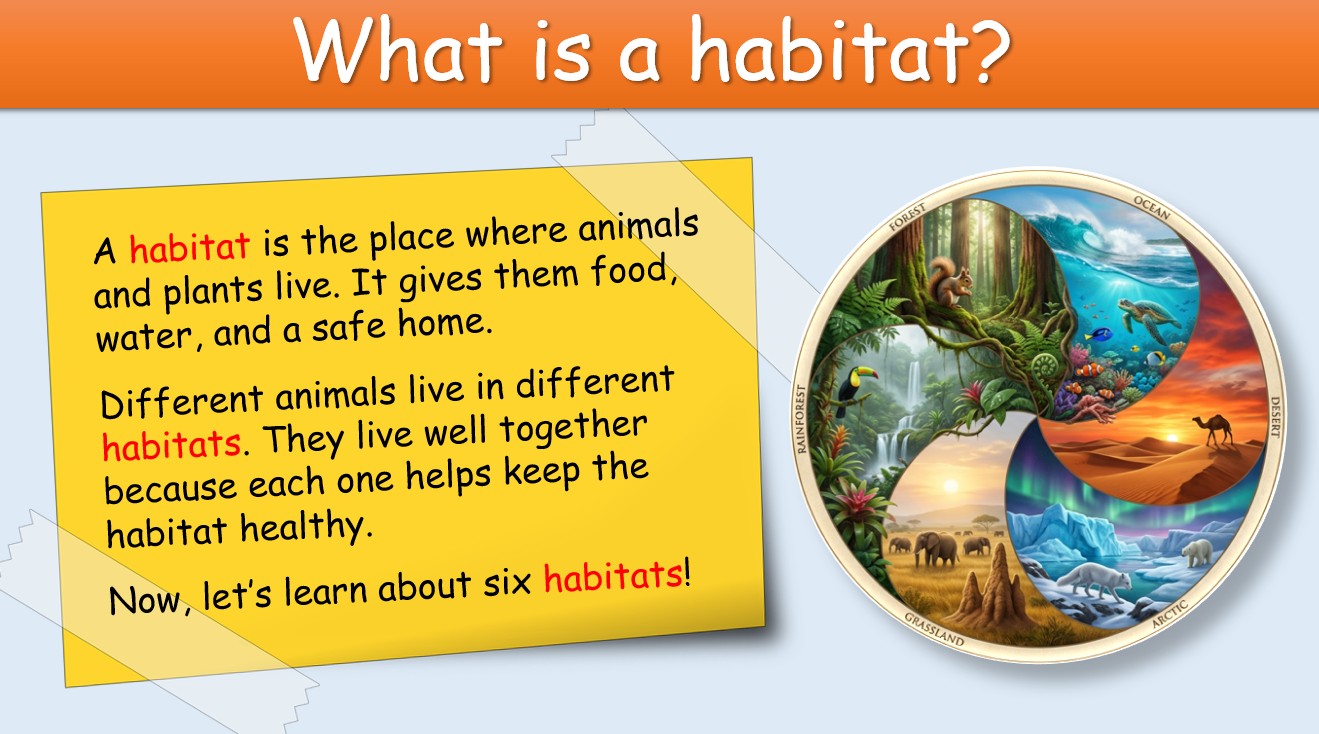 Animal Habitats - Grade 3-4 PowerPoint Lesson