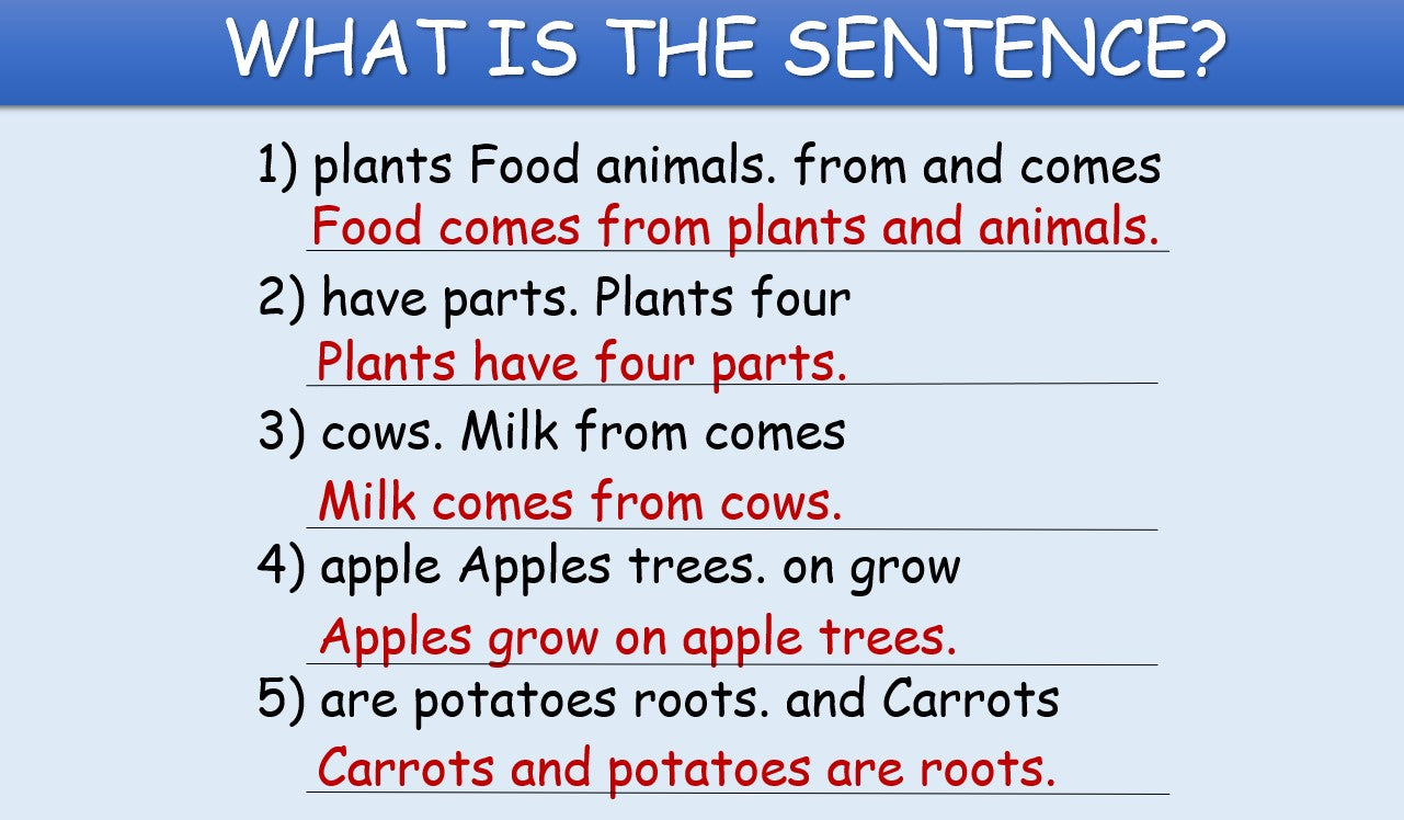 Where Does Food Come From? - Grade 3-4 PowerPoint Lesson