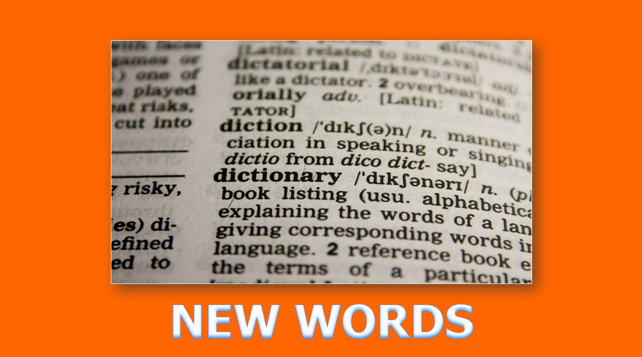 Adverbs of Frequency - Grade 4 PowerPoint Lesson