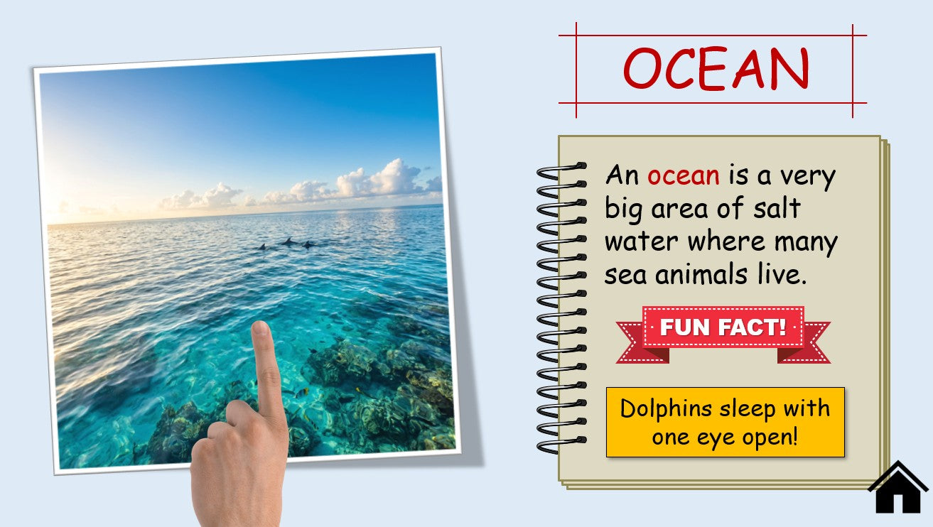 Animal Habitats - Grade 3-4 PowerPoint Lesson