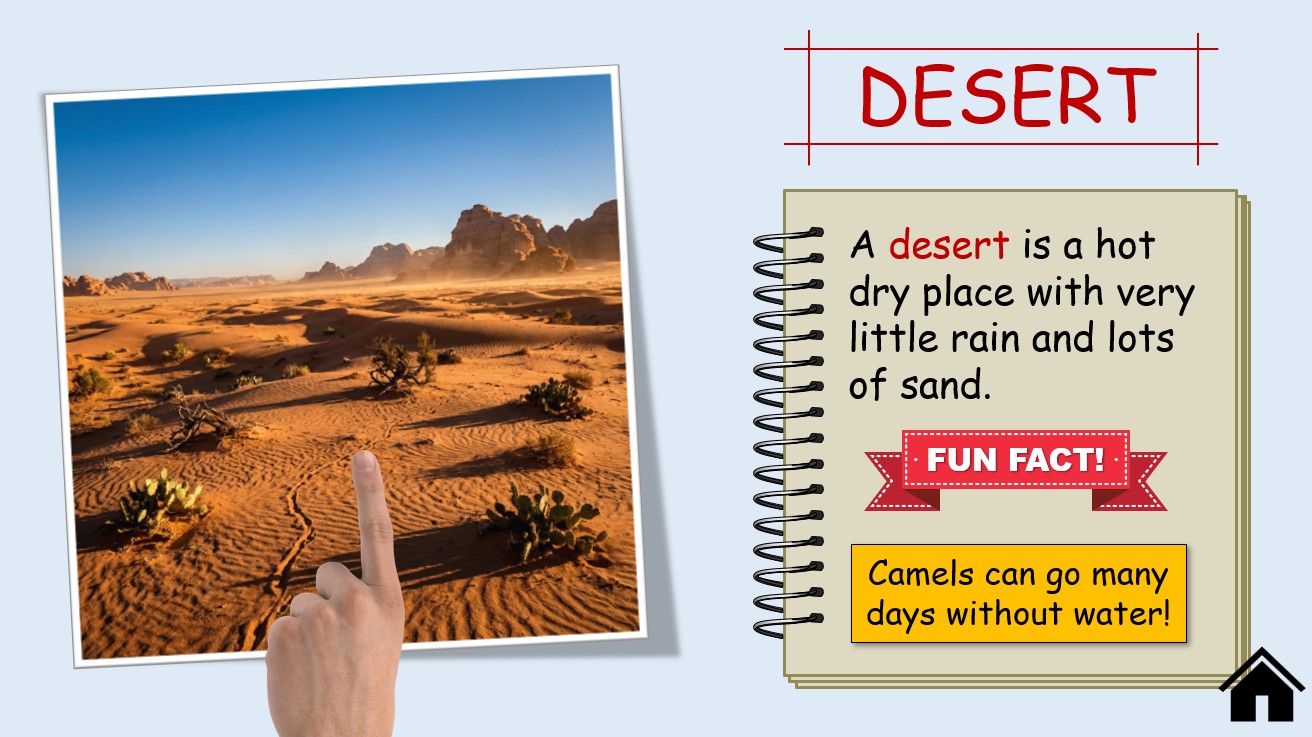 Animal Habitats - Grade 3-4 PowerPoint Lesson