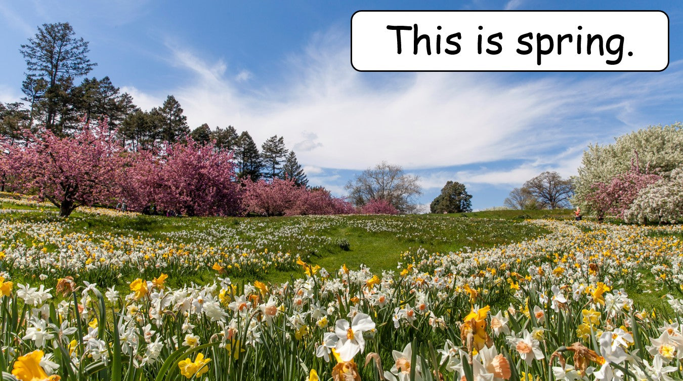 The Four Seasons - Grade 3-4 PowerPoint Lesson