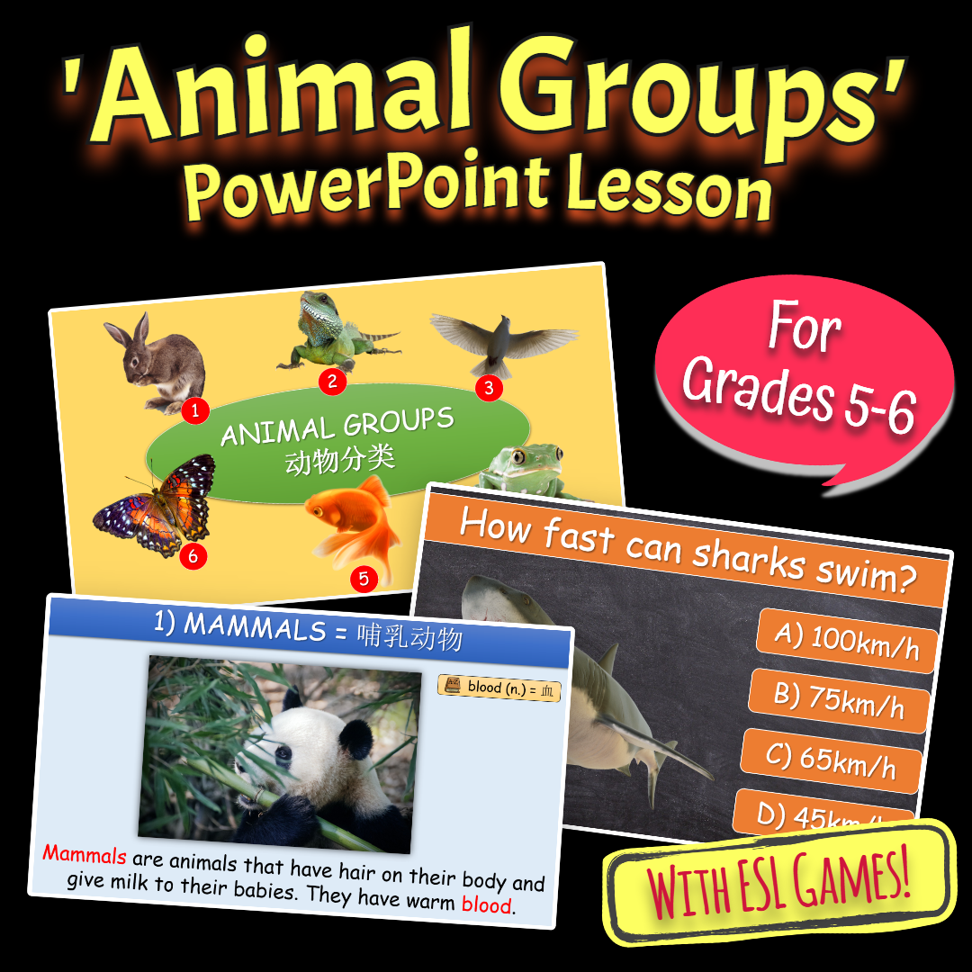 Animal Groups - Grade 5-6 PowerPoint Lesson