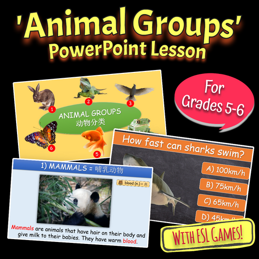 Animal Groups - Grade 5-6 PowerPoint Lesson