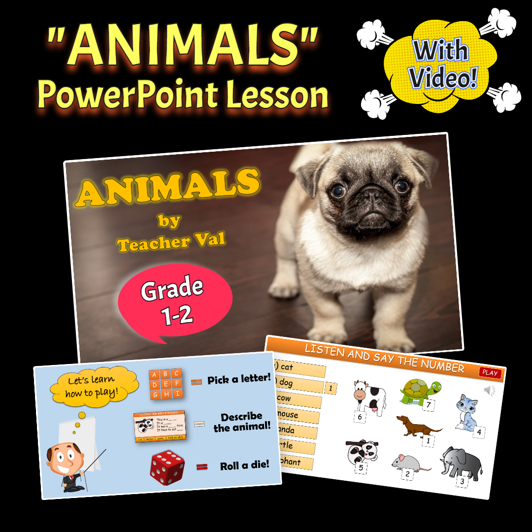 Animals - Grade 1-2 PowerPoint Lesson with Video