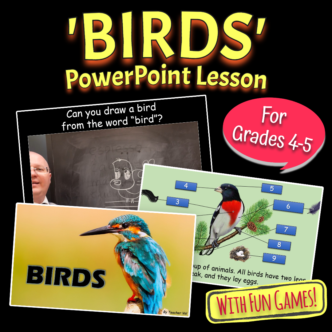 Birds - Grade 4-5 PowerPoint Lesson