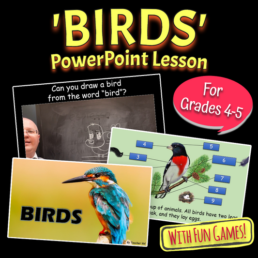 Birds - Grade 4-5 PowerPoint Lesson